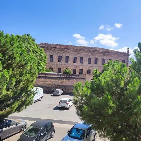Cappuccini Jungle Apartment *